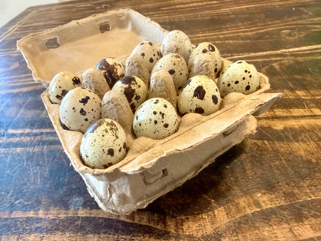 Fresh Coturnix Quail Eggs (2 dozen)