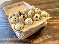 Fertilized Coturnix Quail Hatching Eggs (By the Dozen)